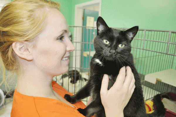 Key Attributes Nonfarm Animal Caretakers Need To Succeed In Their Career