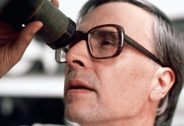 Careers That Suit Investigative Personalities And Require A Master's Degree