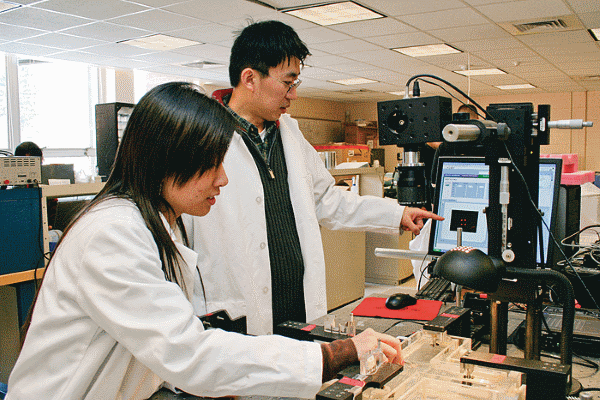 12 Occupations Where Complex Problem Solving Plays A Major Role