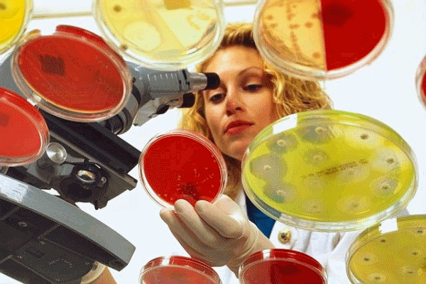 Careers That Suit Investigative Personalities And Require An Associate's Degree (or other 2-year degree)