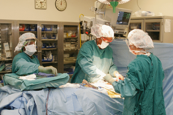 20 Jobs Where It Is Important To Be Very Exact Or Highly Accurate