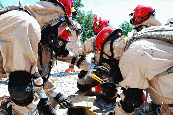 20 Jobs Where It Is Important  To Work With Others In A Group Or Team